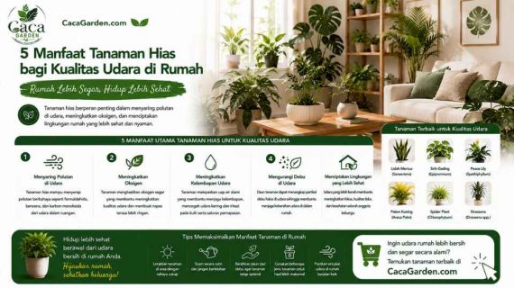 5 Manfaat Tanaman Hias bagi Kualitas Udara di Rumah