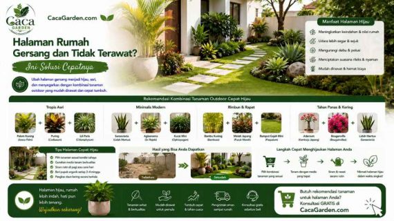 Halaman Rumah Gersang dan Tidak Terawat? Ini Solusi Cepatnya