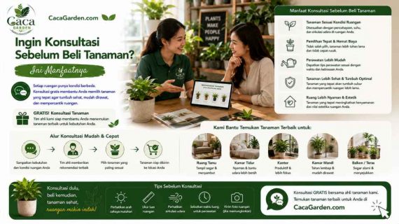 Ingin Konsultasi Sebelum Beli Tanaman? Ini Manfaatnya