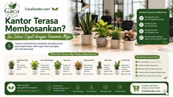 Kantor Terasa Membosankan? Ini Solusi Cepat dengan Tanaman Meja
