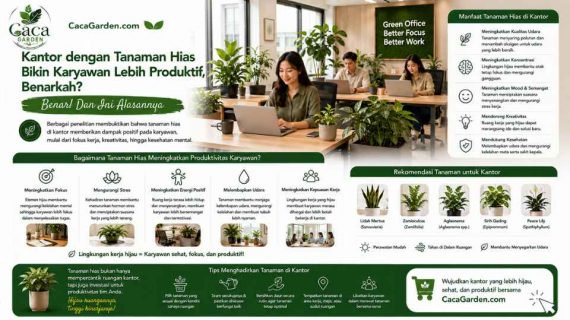 Kantor dengan Tanaman Hias Bikin Karyawan Lebih Produktif, Benarkah?
