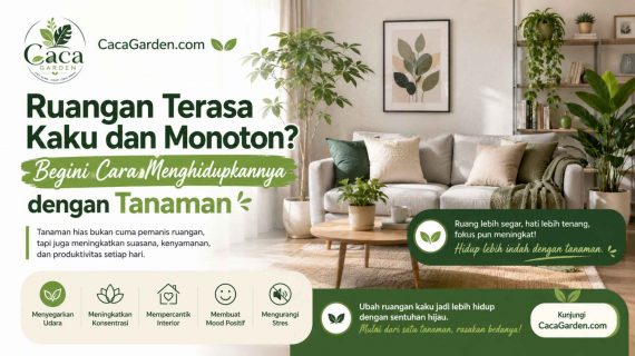 Ruangan Terasa Kaku dan Monoton? Begini Cara Menghidupkannya dengan Tanaman