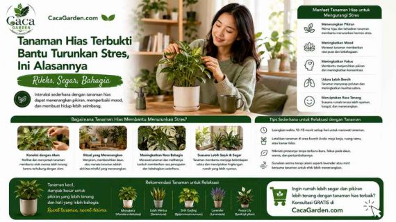 Tanaman Hias Terbukti Bantu Turunkan Stres, Ini Alasannya