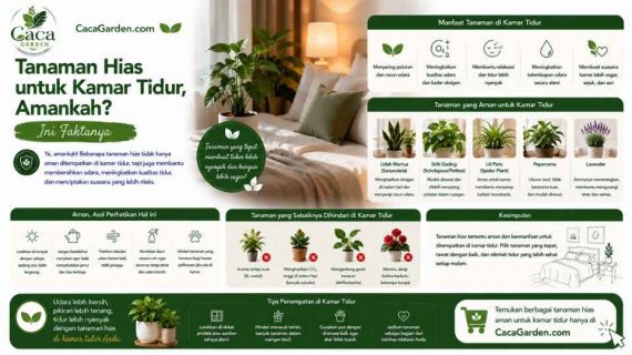Tanaman Hias untuk Kamar Tidur, Amankah? Ini Faktanya