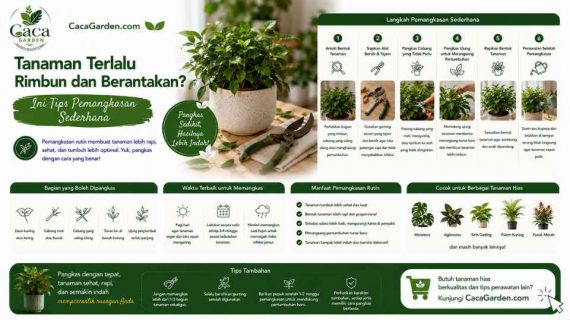 Tanaman Terlalu Rimbun dan Berantakan? Ini Tips Pemangkasan Sederhana