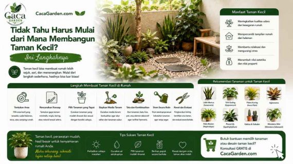 Tidak Tahu Harus Mulai dari Mana Membangun Taman Kecil? Ini Langkahnya