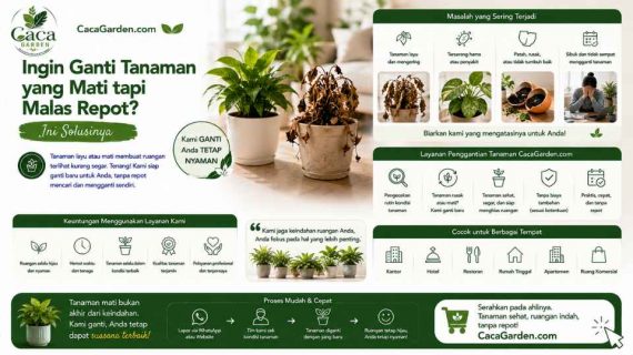 Ingin Ganti Tanaman yang Mati tapi Malas Repot? Ini Solusinya